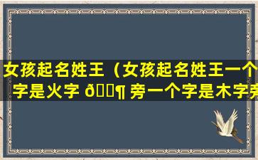 女孩起名姓王（女孩起名姓王一个字是火字 🐶 旁一个字是木字旁 🌺 ）